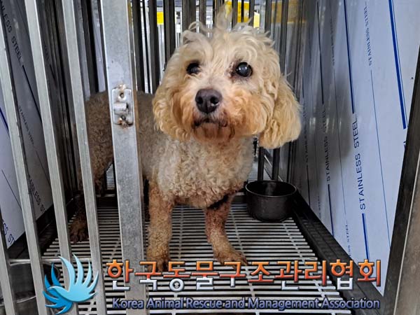 한국동물구조관리협회_441414202400297